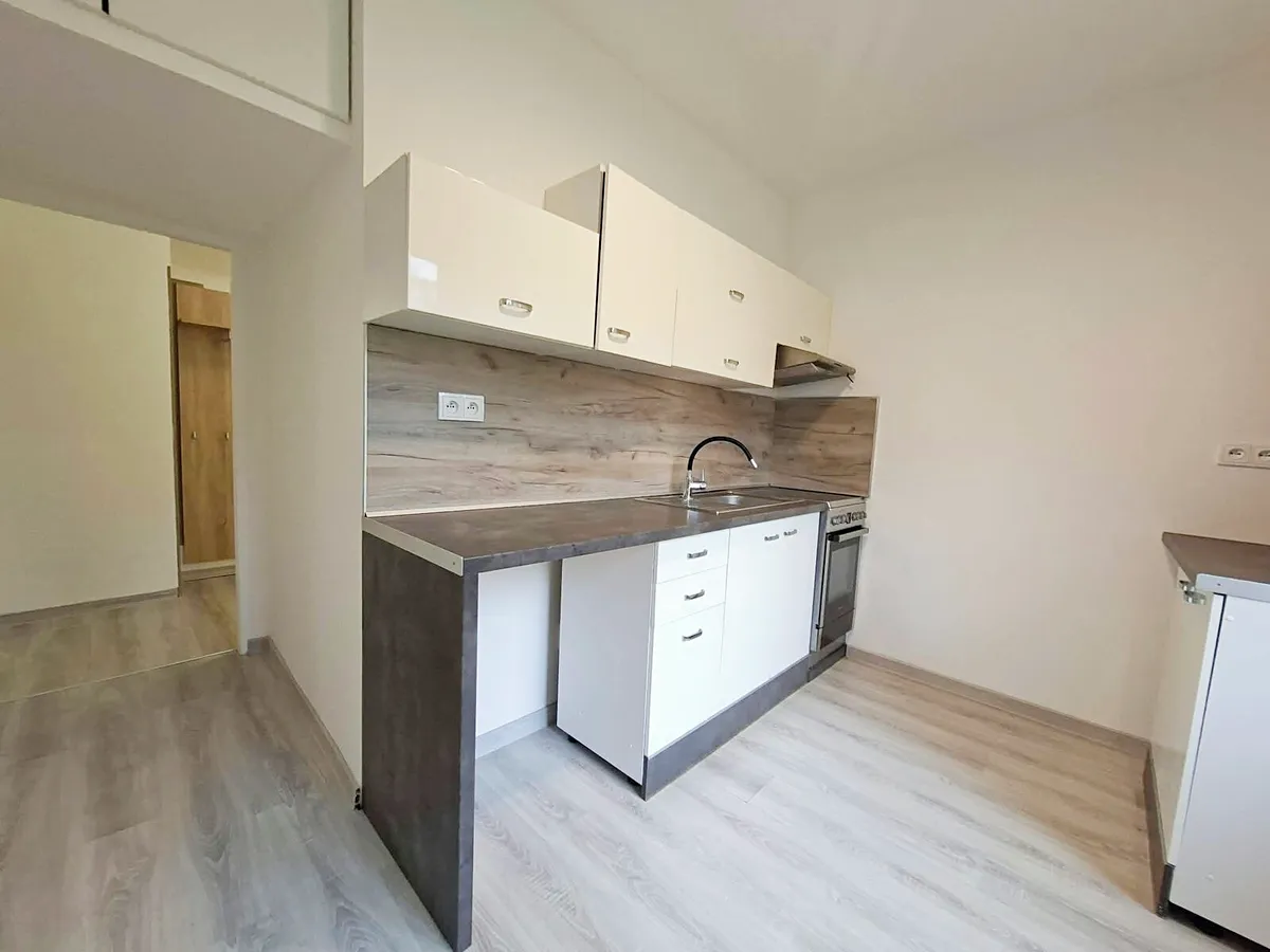 Prodej bytu 2+1 58 m²